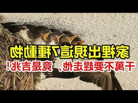 家裡出現 蟋蟀 代表